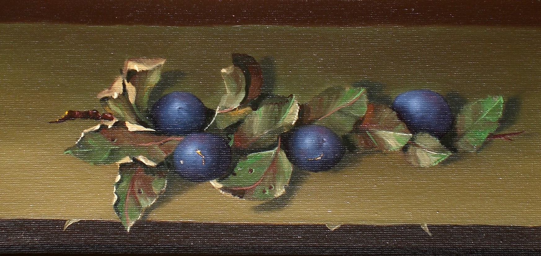 větvička švestek